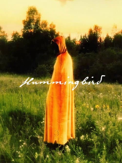 Hummingbird