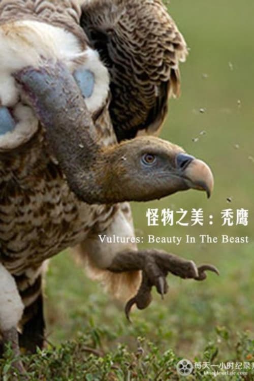 秃鹫：野兽之美