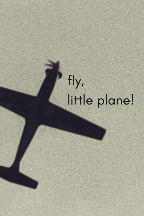 fly, little plane!