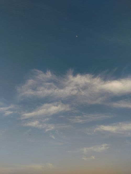 Sunlight Resonance