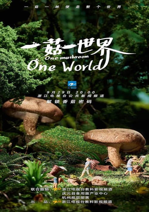 一菇一世界