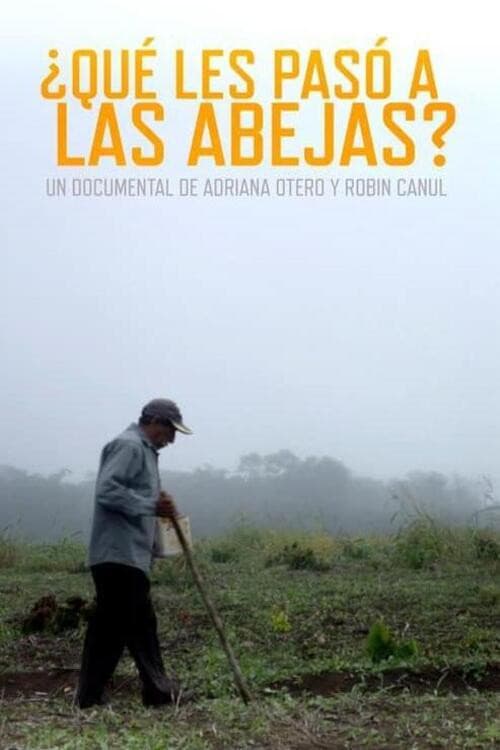 What Happened to the Bees?
