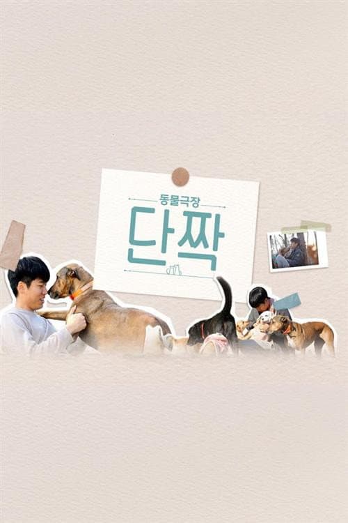 동물극장 단짝