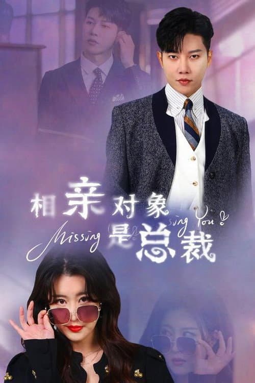 相亲对象是总裁