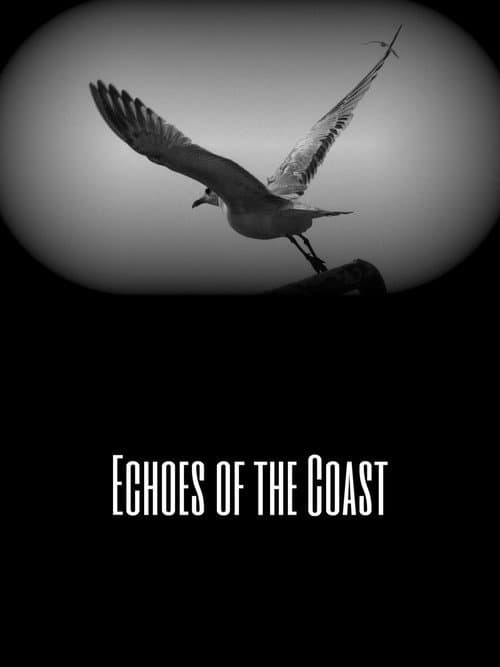 Echoes of the Coast
