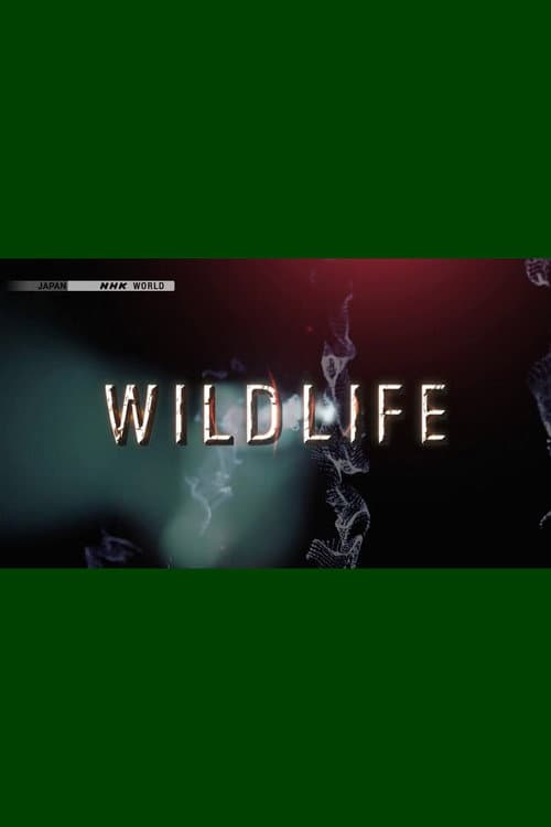 Wildlife