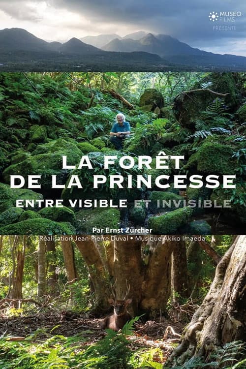 La Forêt de la princesse, entre visible et invisible