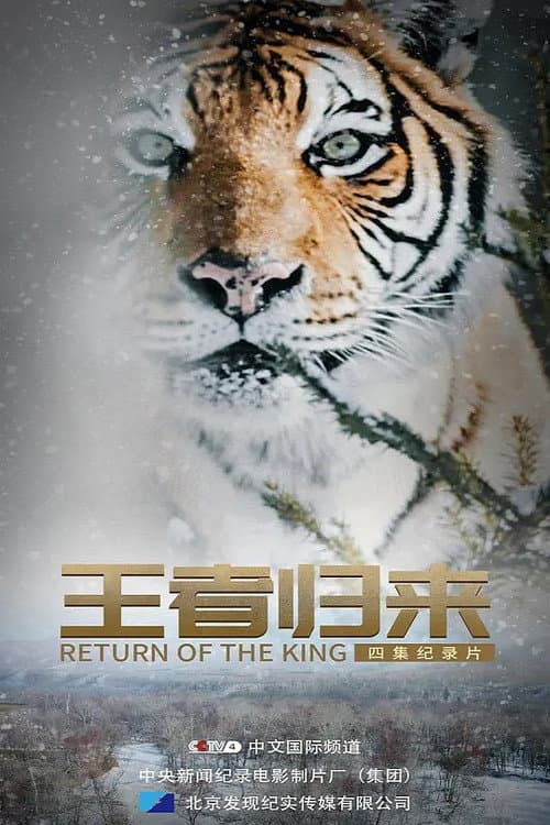 王者归来