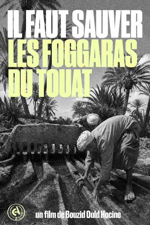 We Must Save the Foggaras of Touat