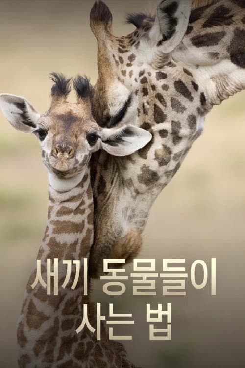 ์๋ผ ๋๋ฌผ๋ค์ด ์ฌ๋ ๋ฒ