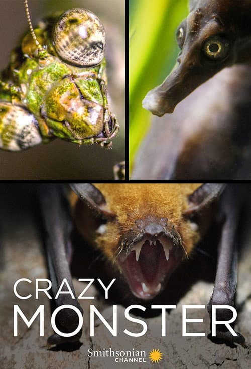 Crazy Monster