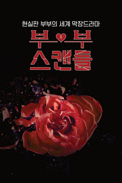 ๋ถ๋ถ์ค์บ๋ค